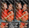Evenement foto: Serie 2216