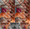 Evenement foto: Serie 2217
