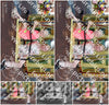 Evenement foto: Serie 2218