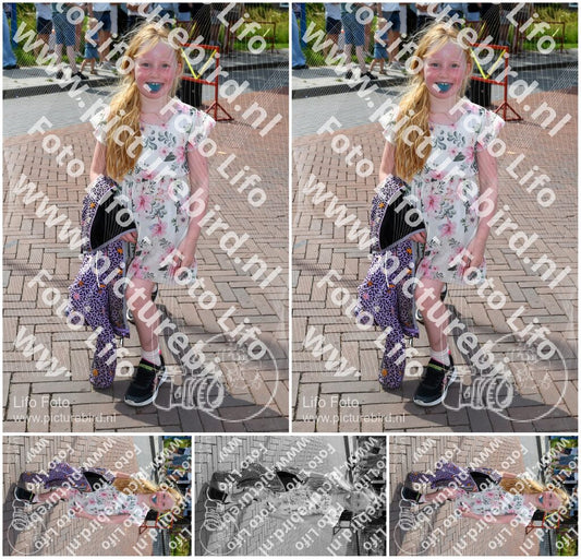 Evenement foto: Serie 2219