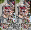 Evenement foto: Serie 2220
