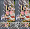 Evenement foto: Serie 2220