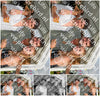 Evenement foto: Serie 2221