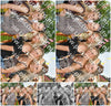 Evenement foto: Serie 2221