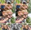 Evenement foto: Serie 2221