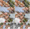 Evenement foto: Serie 2221