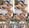 Evenement foto: Serie 2222