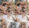 Evenement foto: Serie 2223