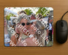 Evenement foto: Serie 2223