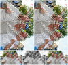 Evenement foto: Serie 2223