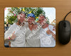 Evenement foto: Serie 2223