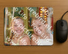Evenement foto: Serie 2224