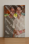Evenement foto: Serie 2224