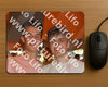 Evenement foto: Serie 2224