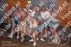Evenement foto: Serie 2225