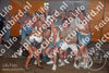 Evenement foto: Serie 2225
