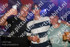 Evenement foto: Serie 2225