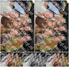 Evenement foto: Serie 2225