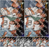 Evenement foto: Serie 2227
