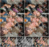 Evenement foto: Serie 2227