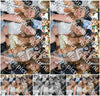 Evenement foto: Serie 2229