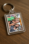 Evenement foto: Serie 2229