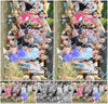 Evenement foto: Serie 2229