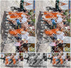 Evenement foto: Serie 2230