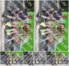 Evenement foto: Serie 2230