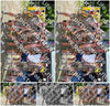 Evenement foto: Serie 2230