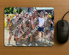 Evenement foto: Serie 2230