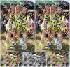 Evenement foto: Serie 2230
