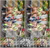 Evenement foto: Serie 2230