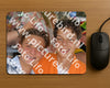 Evenement foto: Serie 2230