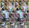 Evenement foto: Serie 2230
