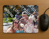 Evenement foto: Serie 2231