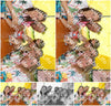 Evenement foto: Serie 2232