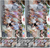 Evenement foto: Serie 2232