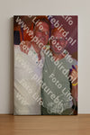 Evenement foto: Serie 2233