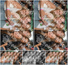 Evenement foto: Serie 2233