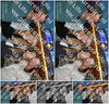 Evenement foto: Serie 2234