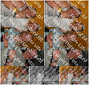 Evenement foto: Serie 2236