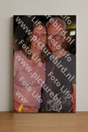 Evenement foto: Serie 2236