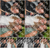 Evenement foto: Serie 2237