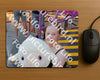 Evenement foto: Serie 2240