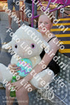 Evenement foto: Serie 2240