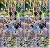 Evenement foto: Serie 2240