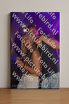 Evenement foto: Serie 2241