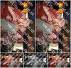 Evenement foto: Serie 2241