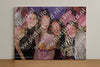 Evenement foto: Serie 2242